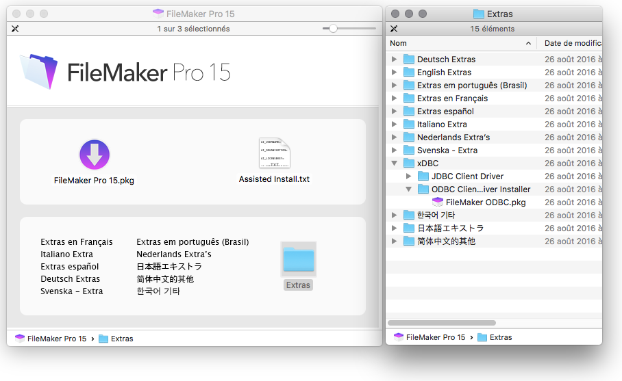 filemaker pro 11 installer