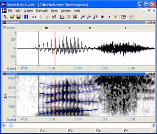 voice lie detector software free download for pc